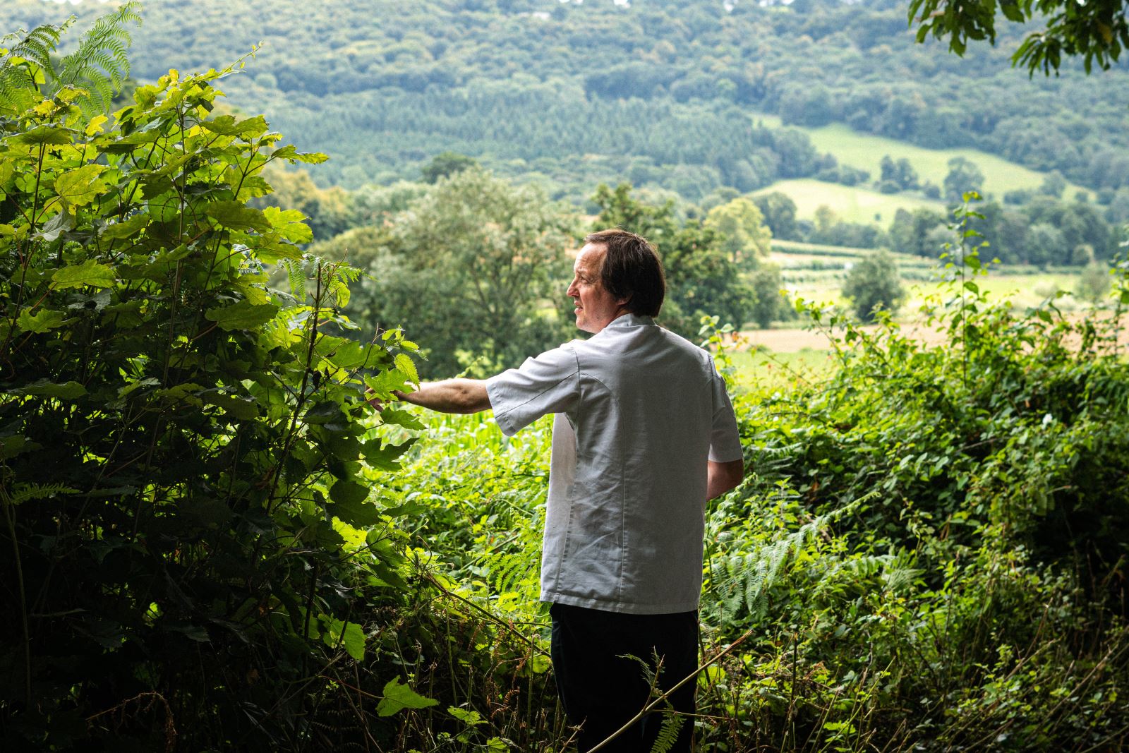 Whitebrook Foraging